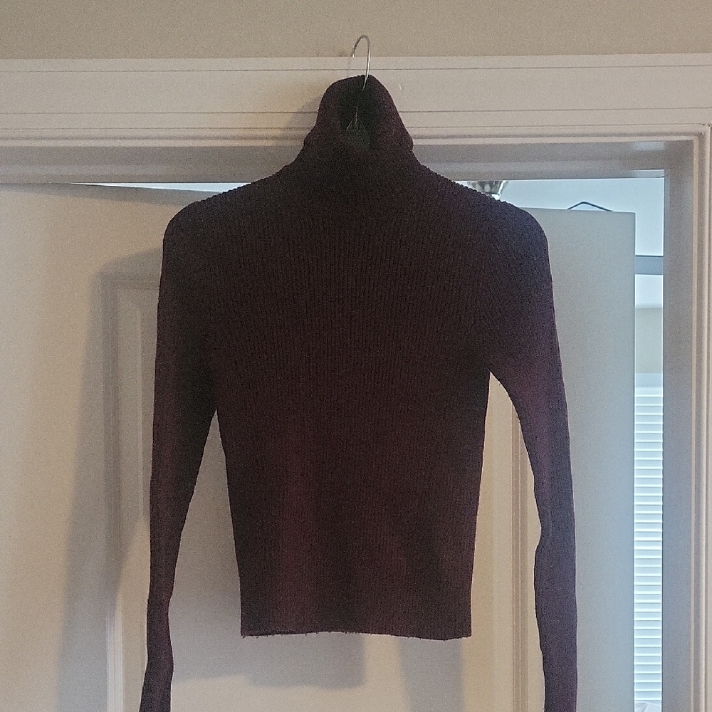 Zara Deep Purple Turtleneck Sweater